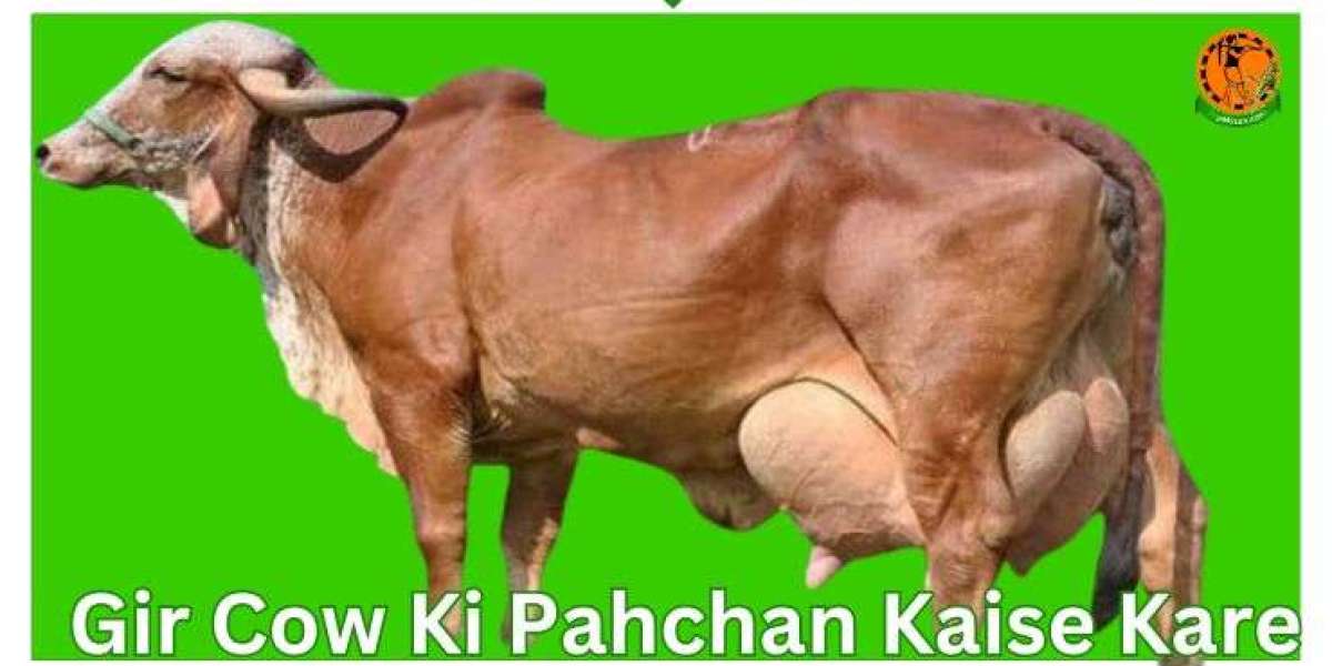 About Gir Cow