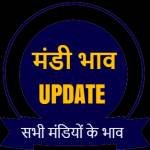 Mandi Bhav Today profile picture