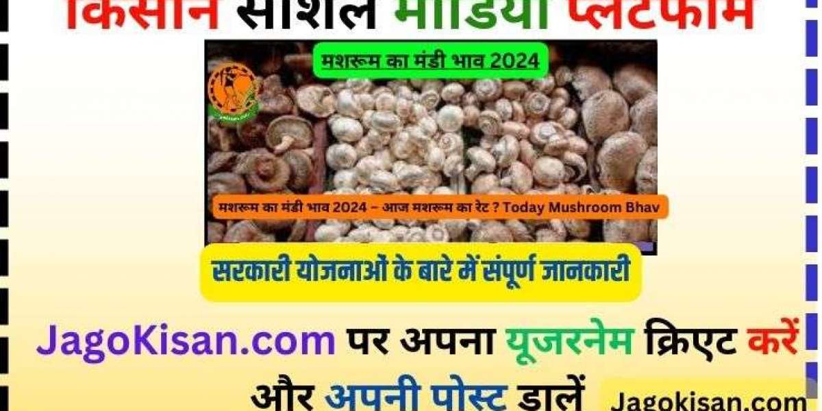 Today Mushroom Bhav