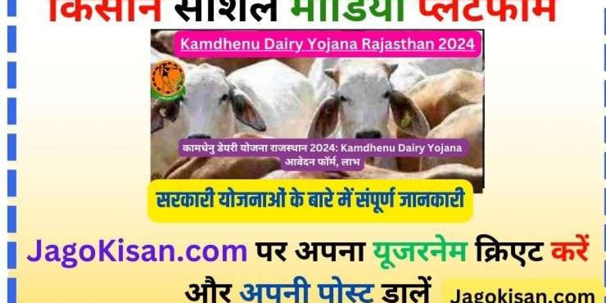 Kamdhenu Dairy Yojana Rajasthan 2024