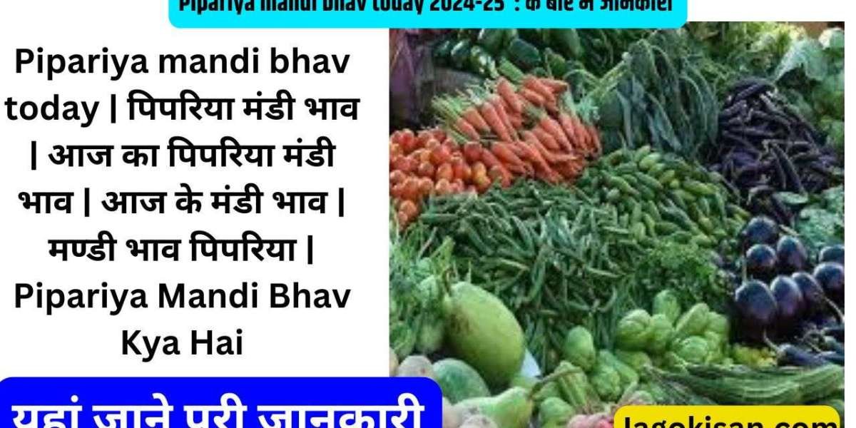 Pipariya mandi bhav today 2024